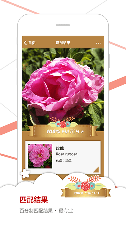 Screenshot of flower identification match