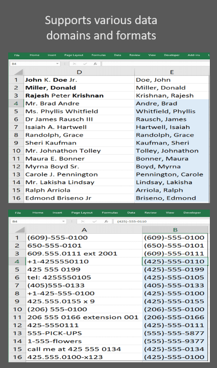 Another split excel spreadsheets screenshot with text: Supports various data domains and formats